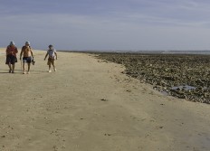 05 - Quelques voyages