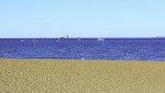 c5h59147